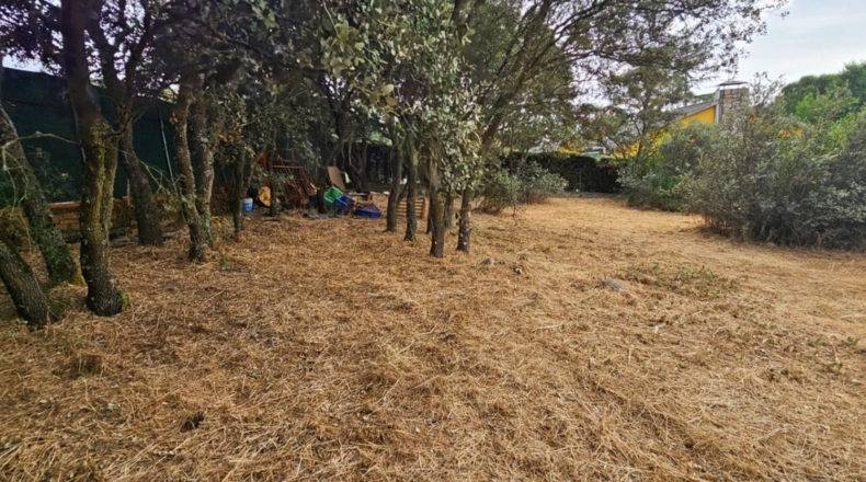 Guadalajara - El Casar - 746m2