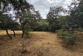 El Casar 746&nbsp;m² 
