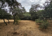 Sòl urbà en venda a la España, El Casar, ref.: TR409367 foto