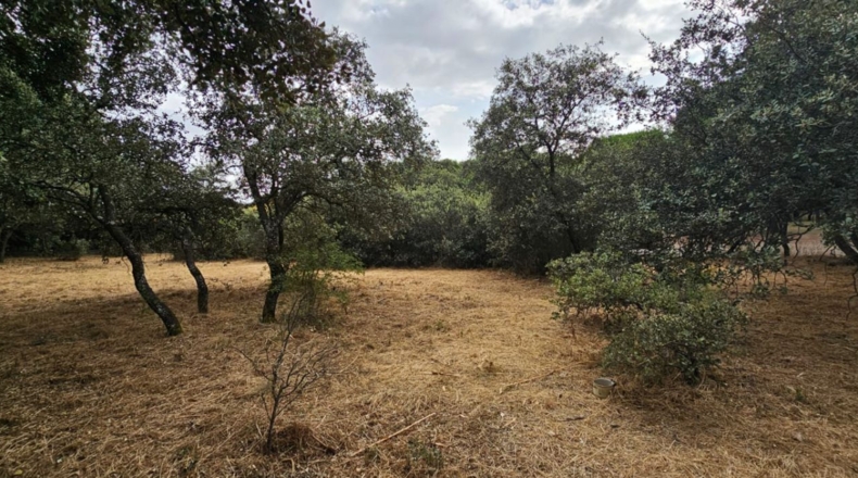 Guadalajara - El Casar - 746m2