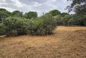 El Casar 746&nbsp;m² 