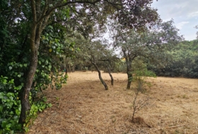 El Casar 746&nbsp;m² 