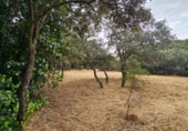 Sòl urbà en venda a la España, El Casar, ref.: TR409367 foto
