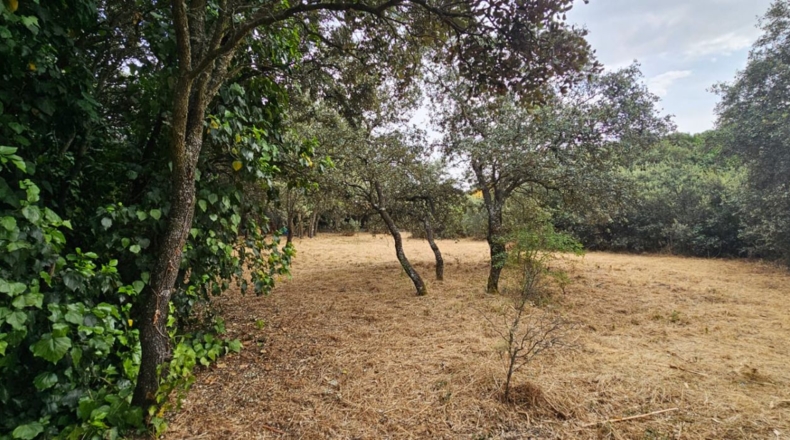Guadalajara - El Casar - 746m2
