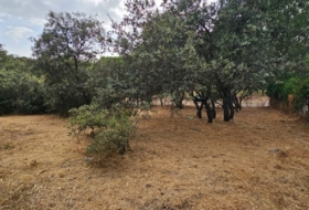 El Casar 746&nbsp;m² 