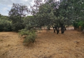 Sòl urbà en venda a la España, El Casar, ref.: TR409367 foto