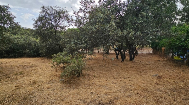 Guadalajara - El Casar - 746m2