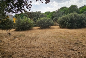 El Casar 746&nbsp;m² 