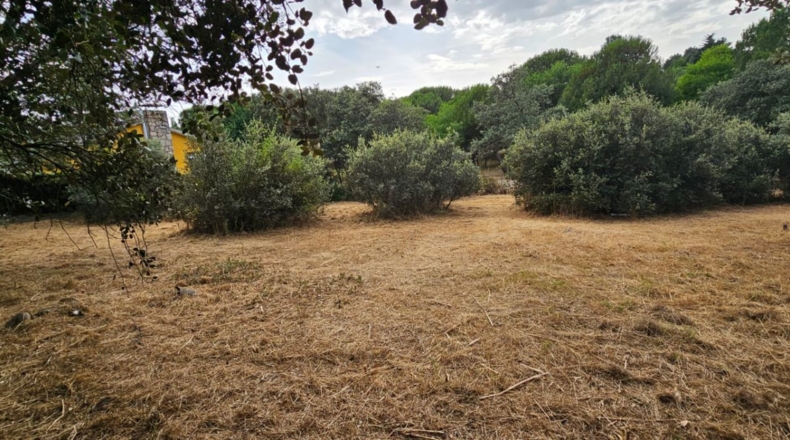 Guadalajara - El Casar - 746m2