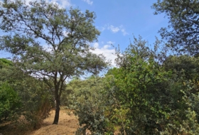 El Casar 746&nbsp;m² 