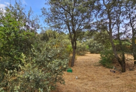 El Casar 746&nbsp;m² 
