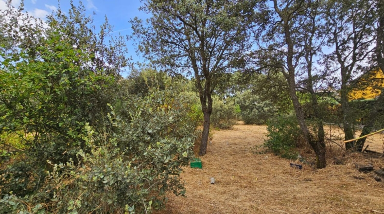 Guadalajara - El Casar - 746m2