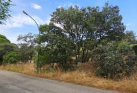 El Casar 746&nbsp;m² 