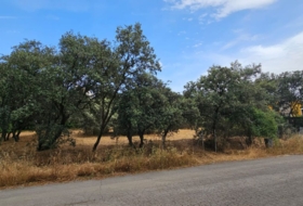 El Casar 746&nbsp;m² 