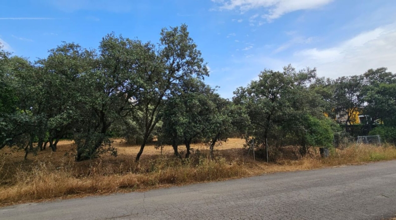 Guadalajara - El Casar - 746m2