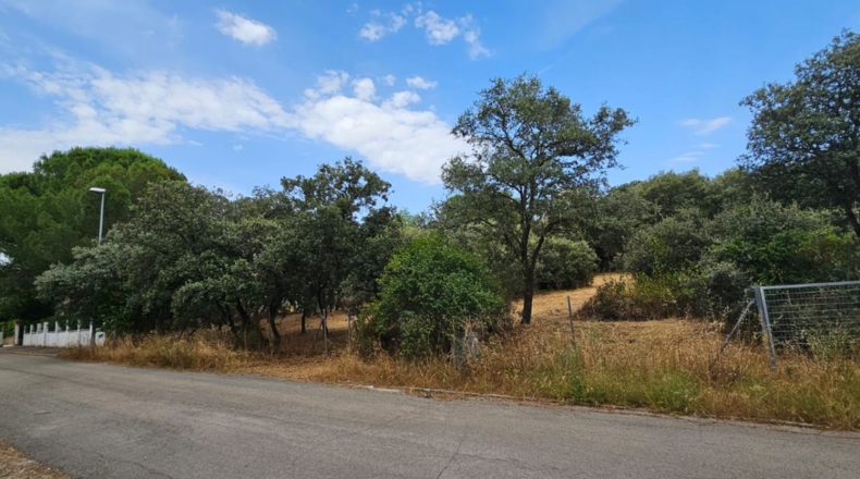 Guadalajara - El Casar - 746m2
