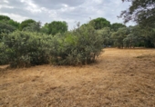 Sòl urbà en venda a la España, El Casar, ref.: TR409367 foto