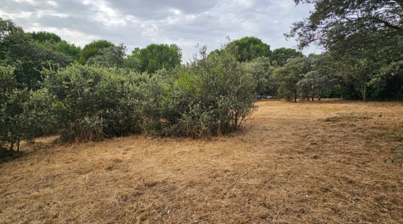 Guadalajara - El Casar - 746m2