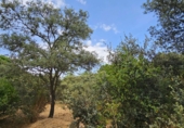 Sòl urbà en venda a la España, El Casar, ref.: TR409367 foto