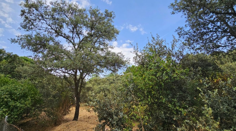 Guadalajara - El Casar - 746m2