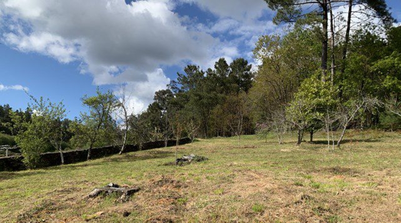 La Corunya - Mourelos de Abaixo - 2600m2