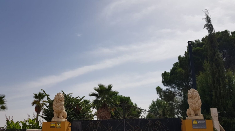 Ciudad Real - Santa Cruz de Mudela - 9190m2