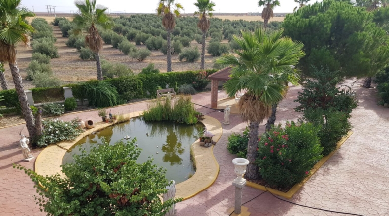 Ciudad Real - Santa Cruz de Mudela - 9190m2