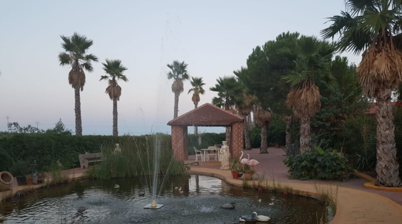 Ciudad Real - Santa Cruz de Mudela - 9190m2