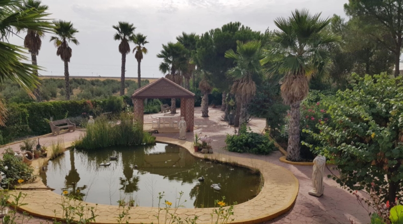 Ciudad Real - Santa Cruz de Mudela - 9190m2