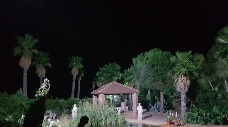 Ciudad Real - Santa Cruz de Mudela - 9190m2