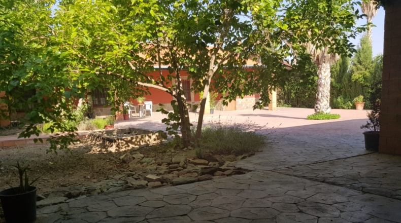 Ciudad Real - Santa Cruz de Mudela - 9190m2