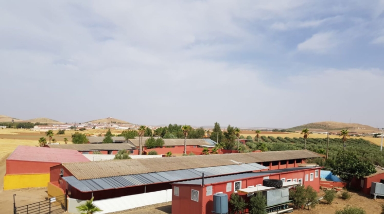 Ciudad Real - Santa Cruz de Mudela - 9190m2