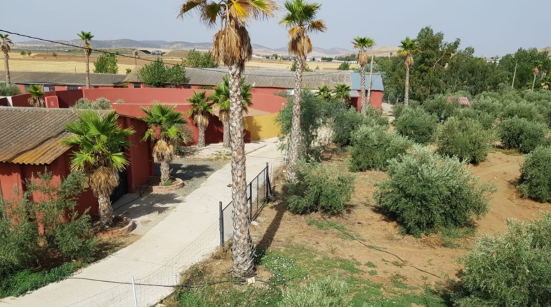Ciudad Real - Santa Cruz de Mudela - 9190m2