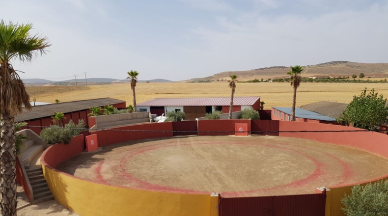 Ciudad Real - Santa Cruz de Mudela - 9190m2