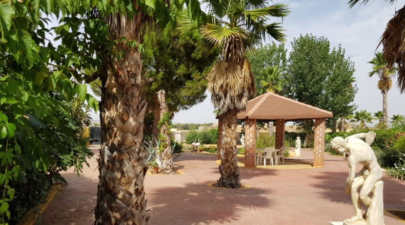 Ciudad Real - Santa Cruz de Mudela - 9190m2