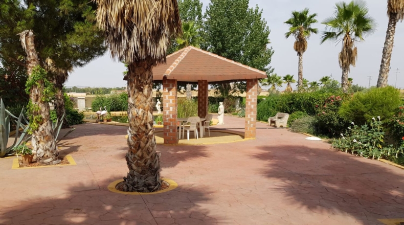 Ciudad Real - Santa Cruz de Mudela - 9190m2