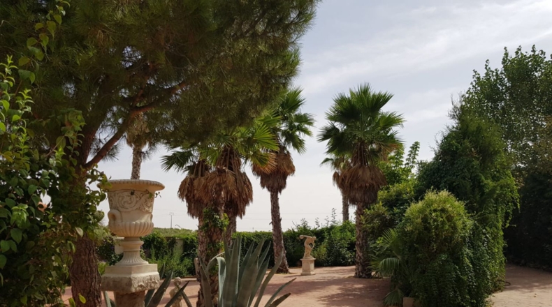 Ciudad Real - Santa Cruz de Mudela - 9190m2