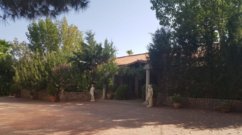 Ciudad Real - Santa Cruz de Mudela - 9190m2