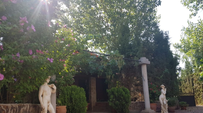 Ciudad Real - Santa Cruz de Mudela - 9190m2