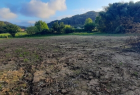 Bárcena de Cicero 3000&nbsp;m²