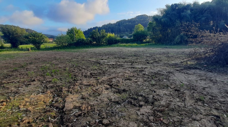 Cantabria - Bárcena de Cicero - 3000m2