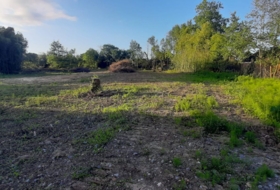 Bárcena de Cicero 3000&nbsp;m²