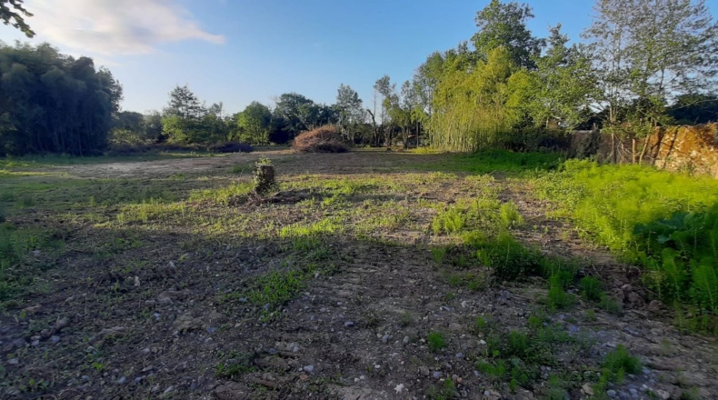 Cantabria - Bárcena de Cicero - 3000m2