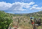 Casa de camp amb terreny en venda a Huércal-Overa ref.: TR409385 foto