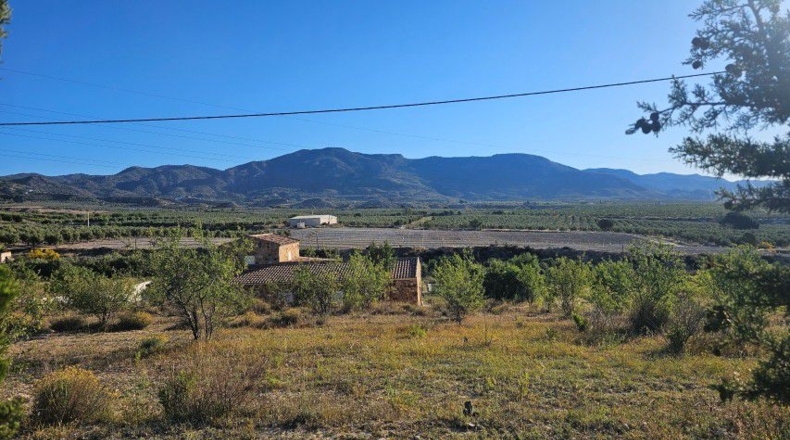 Альмерия - Purchena - 47560m2