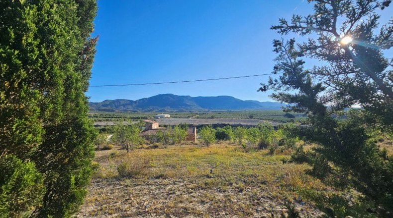 Альмерия - Purchena - 47560m2