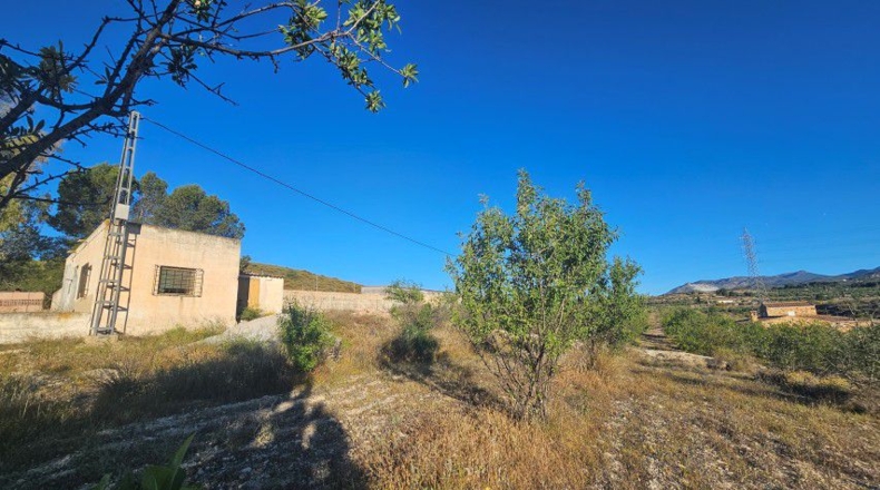 Альмерия - Purchena - 47560m2