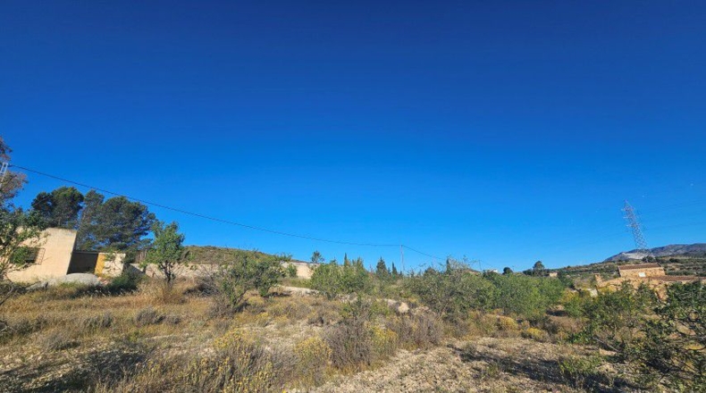 Альмерия - Purchena - 47560m2