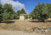 Rural estate for sale in Riudecanyes ref: TR407904 photo