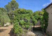 Rural estate for sale in Riudecanyes ref: TR407904 photo